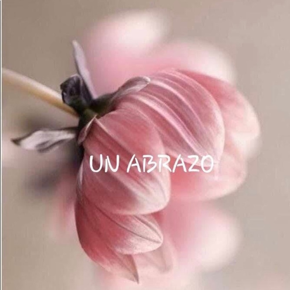 Meet your Posher, Marilyn